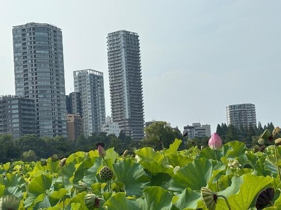 上野