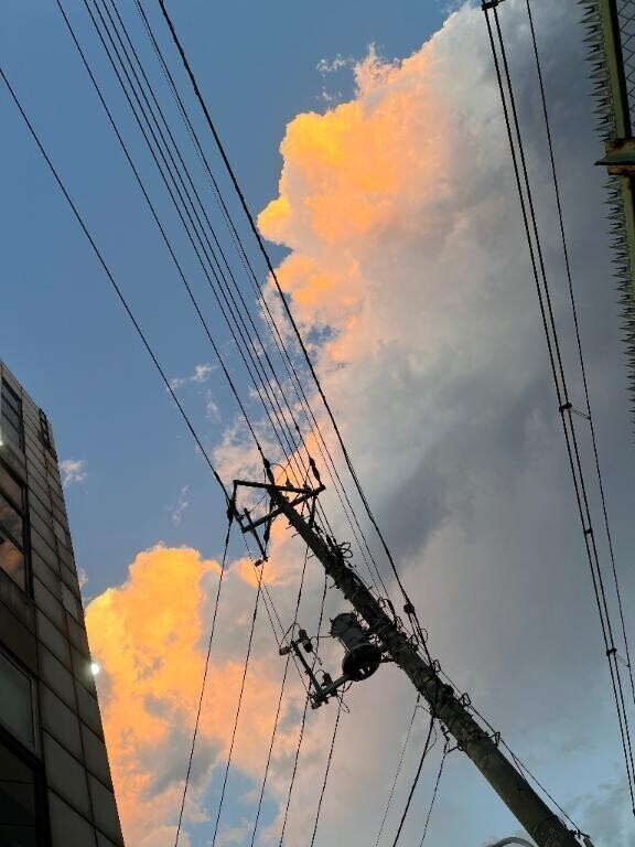 夕焼けきれいだた！