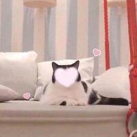 ゆみ
