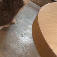 るな