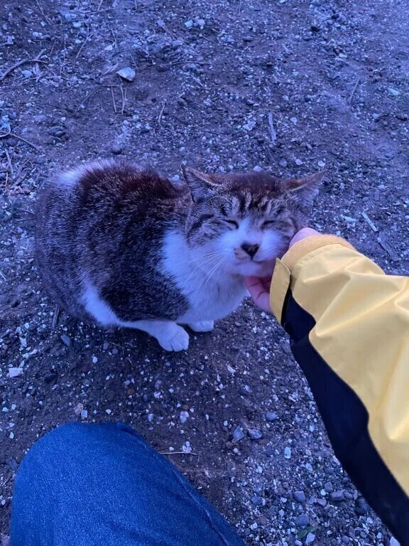 少しだけ出勤！