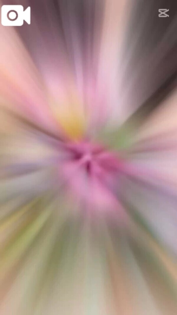 秘密の恋の始まり💕💕