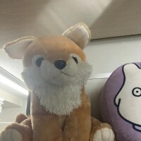 あすみ