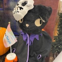 ひなた