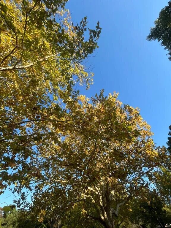 おひさしぶりです｡✧｡･ﾟ