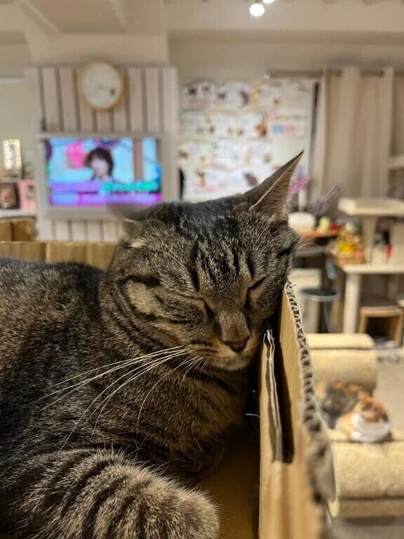 オキニトーク💬🎀