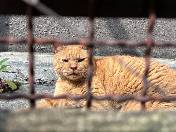 ありがとうございました！