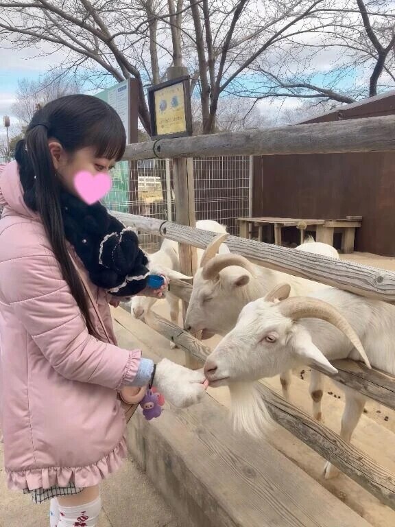 【10時間貸切】大人の遠足・癒しとトキメキの温泉デート🚗💨