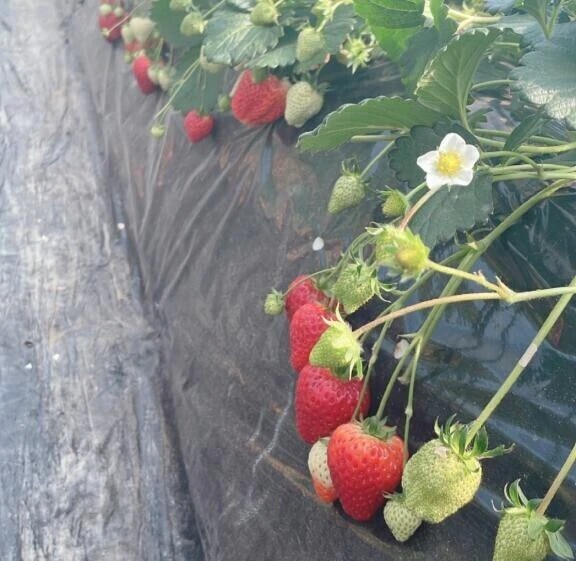 おいしいよね🤤❤️