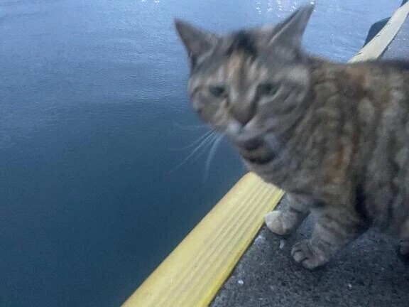 2/8出勤します！