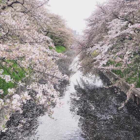 出勤予定です！