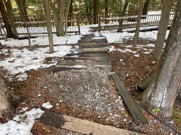 ありがとうございました🌷