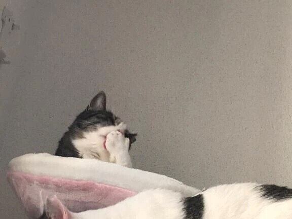 ご予約ありがとうございます✨