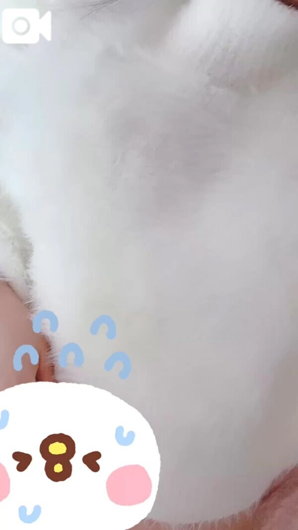 せなと〇〇する…？🔞︎💕︎