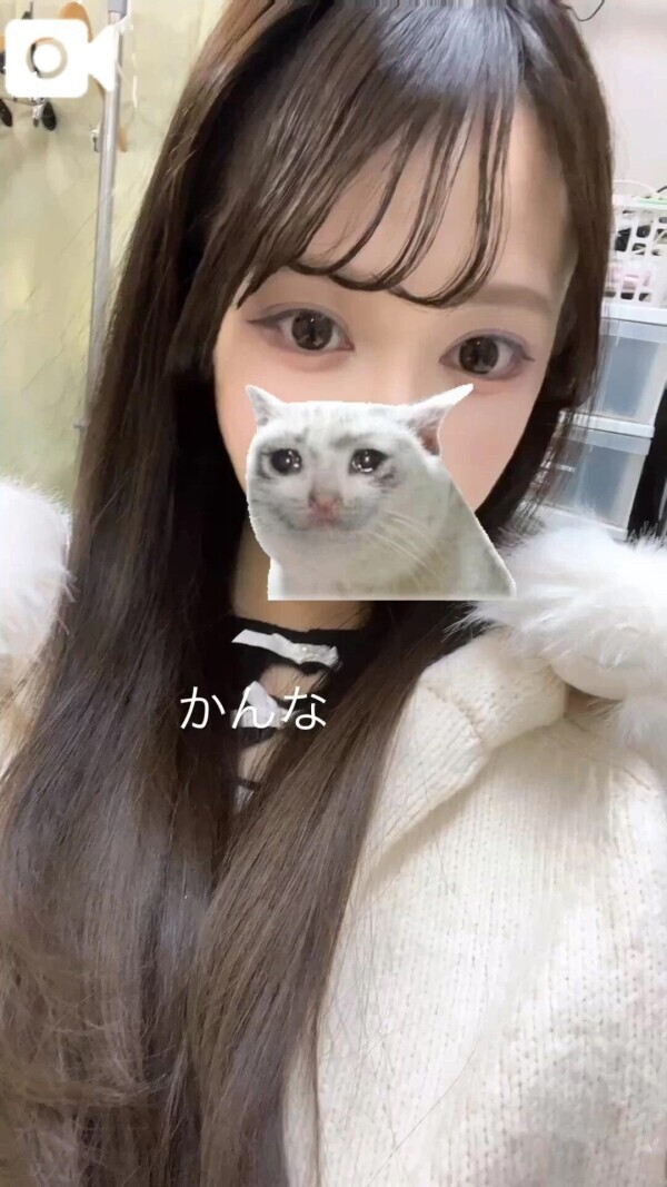 目がかゆいにゃ🐈