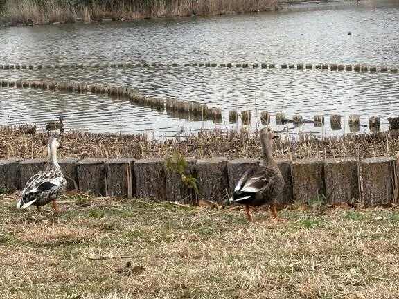ありがとうございました！！