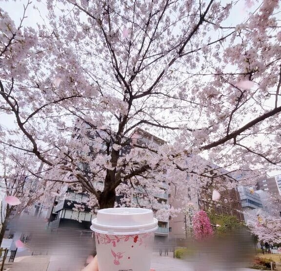 桃色世界💗