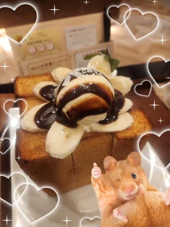 はにとー❣️