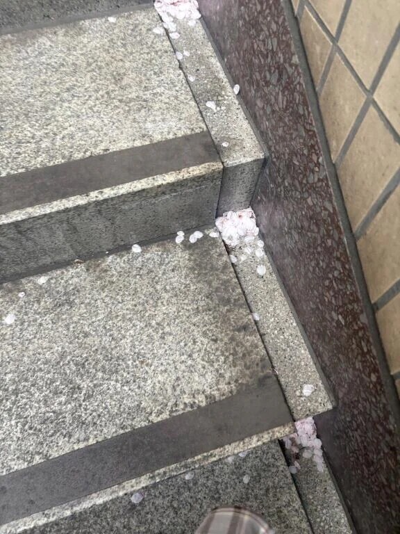 出勤🌸