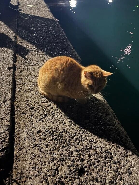 ありがとうございました🌷