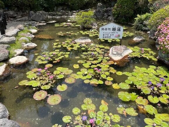 AIってすごい