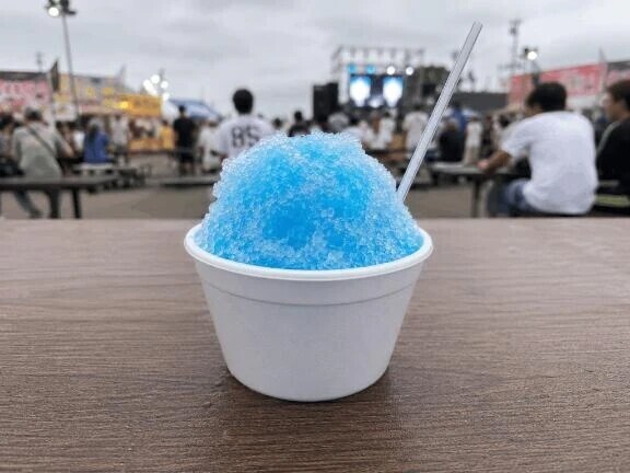 今年初っ🐬🫧