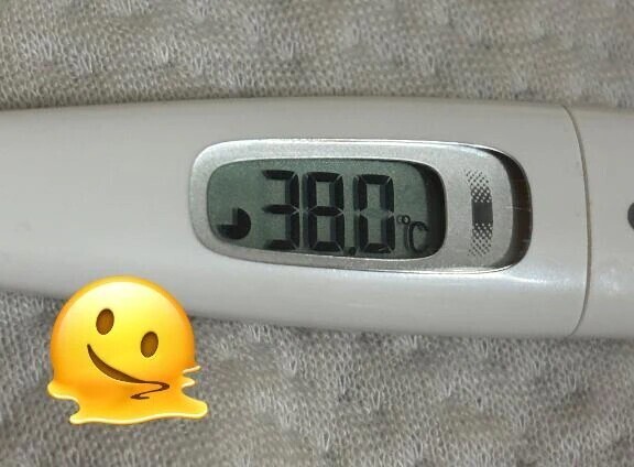 ごめんなさい!!!!!!(ᐡ߹𖥦߹ᐡ )💦