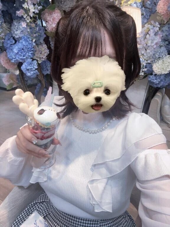 明日13時から🫣💖