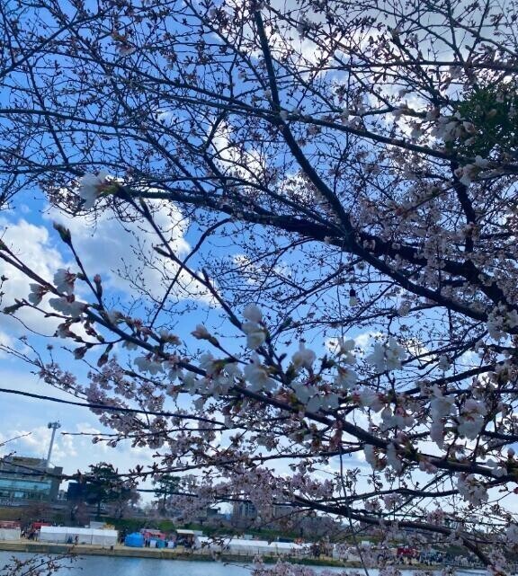 4月💗
