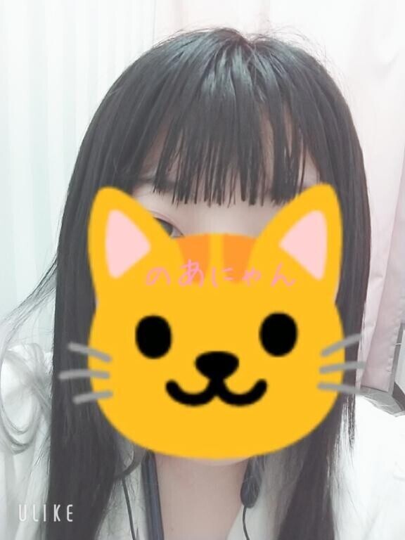 アップデート