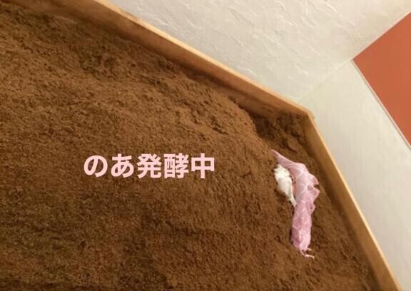 誰かわかりませんが