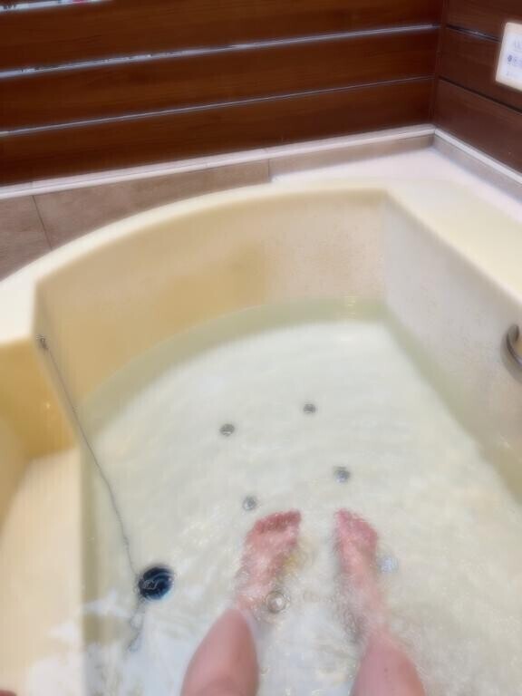 心躍る(⸝⸝◜~◝⸝⸝)
