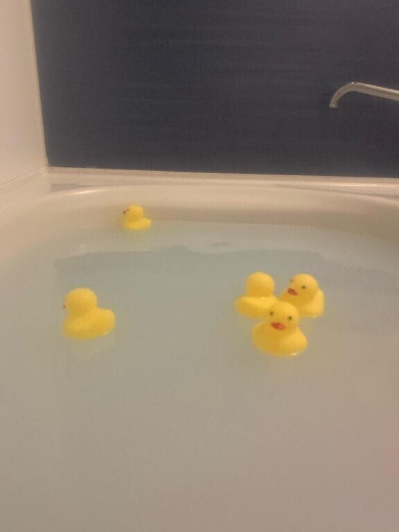 お風呂🛁