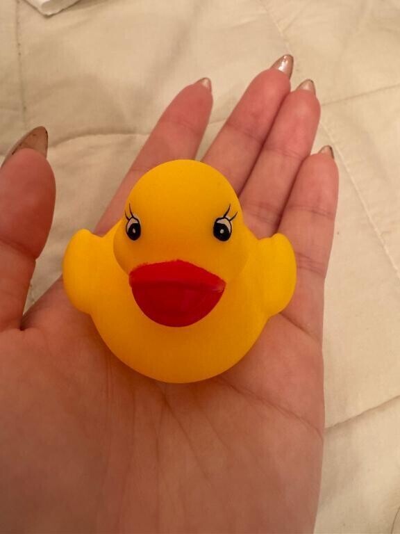🐥ｸｱ