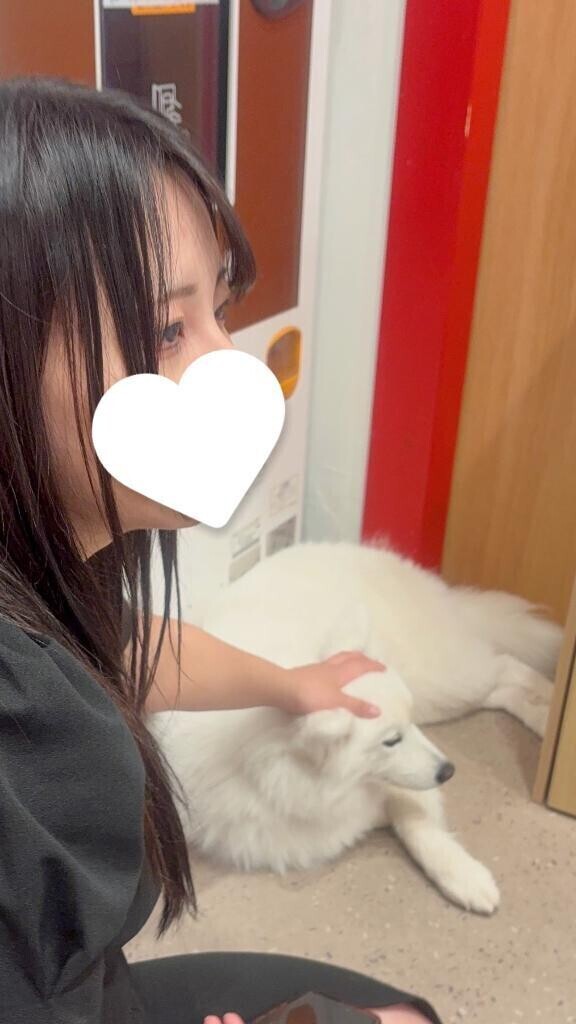 夏のもの😳