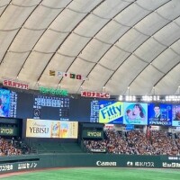 あおい