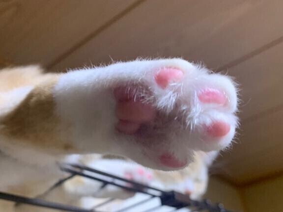 おはようございます！