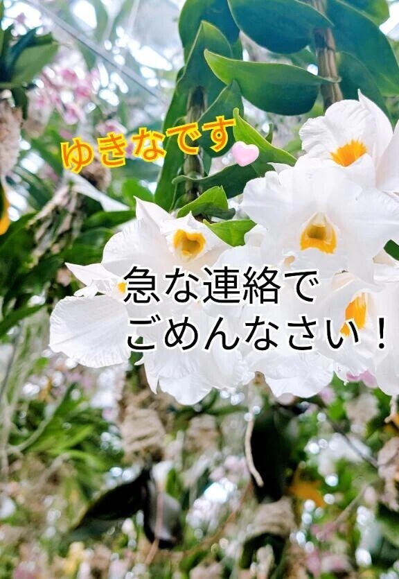 ゆきなです🧡