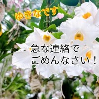 ゆきな