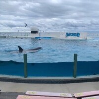 さき