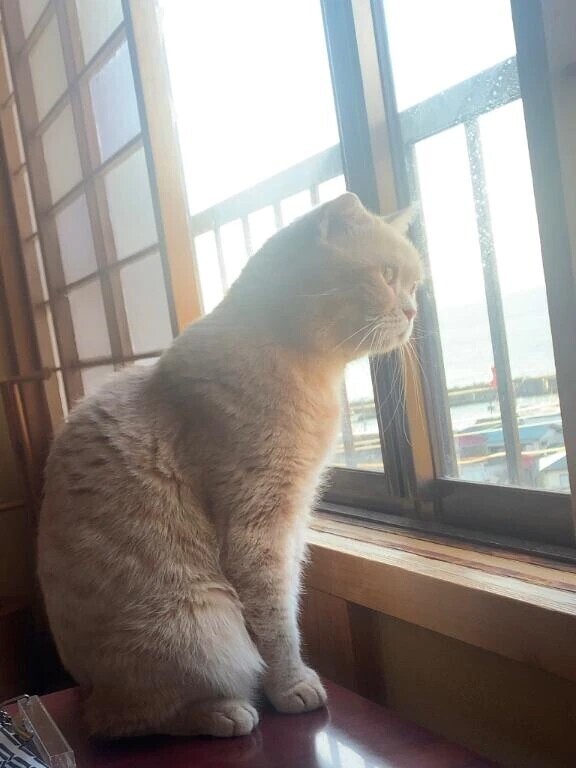 ありがとうございます🙏🏻