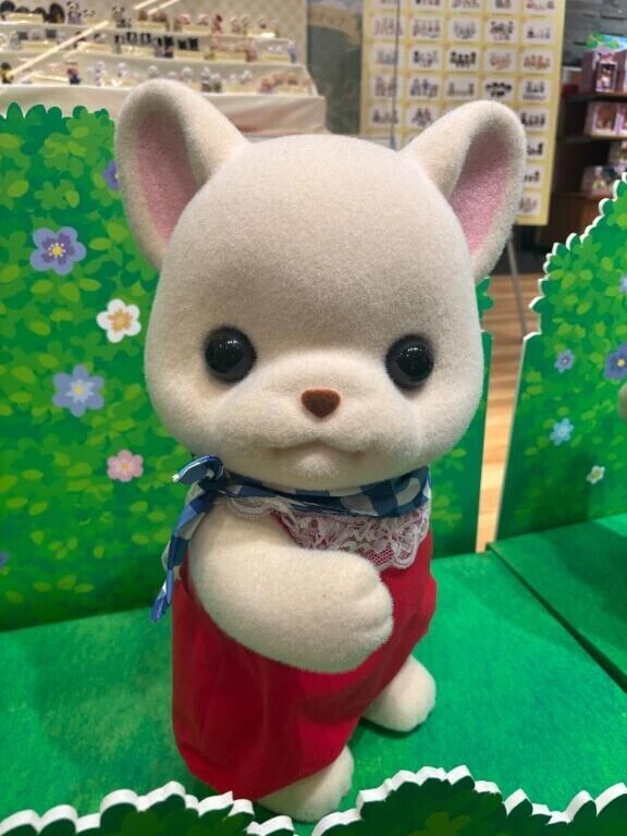 ブーム🐰⸝꙳*