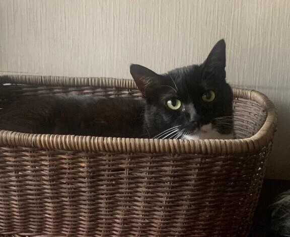 出勤します🙋🏻‍♀️