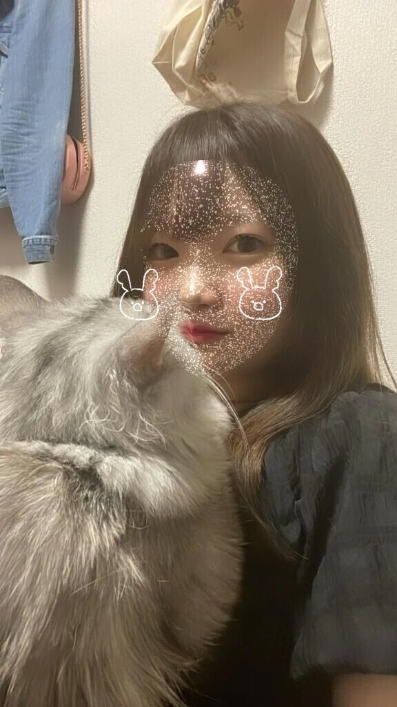 ねこちゃまが尊い