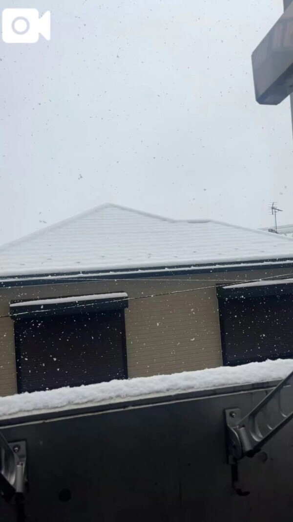 12:00〜19:00出勤です🌙