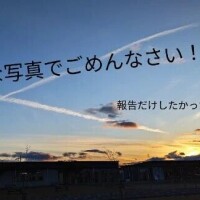 ゆきな