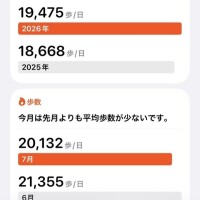 歩数