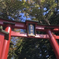 1人が…🌱✨