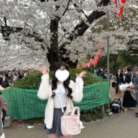 桜見に行ったよ🌸