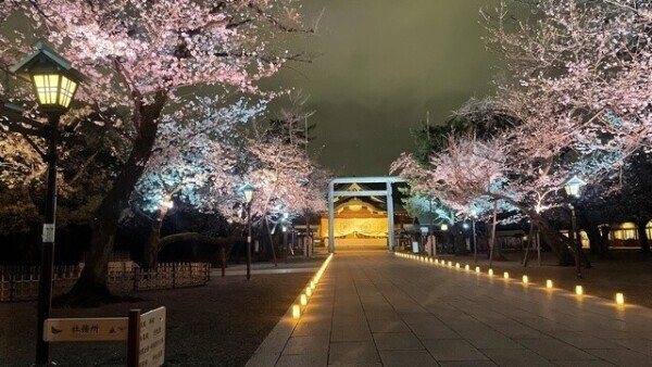 お花見🌸